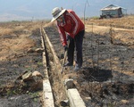 Nam Trung Bộ - Tây Nguyên: Hạn đến sớm, sương muối 
