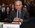 Bác sĩ Anthony Fauci: Mỹ vẫn đang trong làn sóng dịch thứ nhất