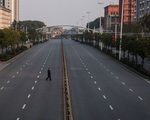 Rốt cuộc, hành tinh chúng ta cũng được nghỉ ngơi và… thoát khỏi con người