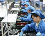 Đài Loan ngừng tiếp nhận lao động nước ngoài từ ngày 19/3