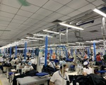 Hơn 15% số doanh nghiệp cắt giảm quy mô sản xuất vì COVID-19