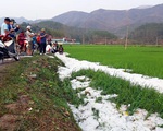Mưa đá dày đặc, phủ trắng bờ ruộng lúa tại Điện Biên