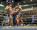 Thái Lan ngồi trên đống lửa vì ổ dịch sàn muay Thái