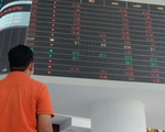 Cổ phiếu rớt giá, nhà đầu tư nhỏ nhảy vào cuộc chơi 