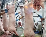 Đồng Nai công bố hết dịch tả heo châu Phi