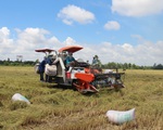 Hiệp hội Lương thực Việt Nam kiến nghị Chính phủ cho xuất khẩu gạo lại