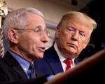 Nhà Trắng ngăn bác sĩ Anthony Fauci điều trần trước quốc hội về phản ứng dịch bệnh