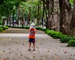 Hà Nội mùa này vắng những... người đi