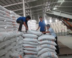 Chỉ cho phép xuất khẩu 400.000 tấn gạo trong tháng 4