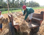 Miền Nam sắp vào đợt triều, hạn mặn tăng mạnh chưa có dấu hiệu dừng