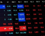 Dòng tiền vào chứng khoán khá cao dù VN-Index mất gần 56 điểm