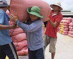 Thủ tướng yêu cầu nghiên cứu tháo gỡ khó khăn cho xuất khẩu gạo