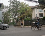 Thám tử truy tìm sự thật - Kỳ 3: Săn 