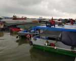 Mở tờ khai hải quan lúc nửa đêm, VFA nói 