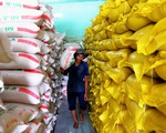 Vụ mở tờ khai xuất khẩu gạo lúc nửa đêm: Tổng cục Hải quan nói gì?