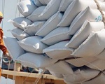 Kiến nghị Thủ tướng cho xuất khẩu các lô gạo đã đưa vào cảng trước ngày 24-3
