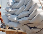 Chỉ 23 giây, hơn 65.700 tấn gạo được mở xong tờ khai xuất khẩu