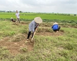 Vụ 