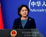 Bà Hoa Xuân Oánh: Tình báo Mỹ 