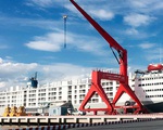 Vướng nghị định, cảng quốc tế Long An không được nhập khẩu... bò