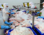 TP.HCM chỉ đạo đáp ứng nhu cầu vốn cho doanh nghiệp trong và sau dịch