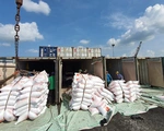 Ủy ban Kinh tế đề nghị xem xét trách nhiệm trong tham mưu xuất khẩu gạo
