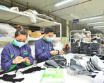 Vì sao Bộ Y tế hạn chế doanh nghiệp xuất khẩu khẩu trang y tế?