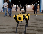 Singapore lập bệnh viện dã chiến hơn 4.000 giường, dùng nhiều robot