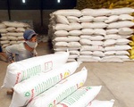 Công bố quyết định thanh tra công tác xuất khẩu gạo