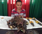 Bắt tại chỗ kẻ rải đinh 