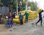 An Giang kiến nghị cho xuất khẩu gạo cứu nông dân và doanh nghiệp