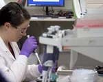 CDC bắt đầu xét nghiệm máu để xác định khả năng miễn dịch