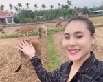 Nghệ sĩ Việt về quê, kêu gọi người dân ở nhà phòng COVID-19
