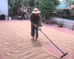 Một huyện có 2.400 người tự nguyện không nhận tiền hỗ trợ do dịch COVID-19