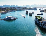 Tàu du lịch đồng loạt giảm giá cước tham quan vịnh Hạ Long
