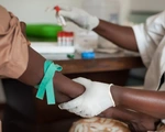 Mải lo chống COVID-19, nửa triệu bệnh nhân AIDS châu Phi có thể tử vong