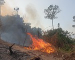 Giám đốc ban quản lý rừng thuê người đốt thực bì rẫy keo, lửa lan ra rừng