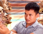 Bỏ giấc mơ du học để... trồng nấm