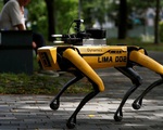 Singapore đưa chó robot ra công viên nhắc người dân giãn cách xã hội