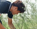 Những người trẻ lội ngược dòng ở miền Tây - Kỳ 4: Làm giàu cho quê hương mình trước