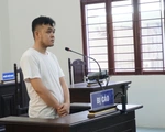 Vào bãi giữ xe cơ quan nhà nước, nạy yên trộm cắp, lãnh 30 tháng tù