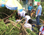 Cây phượng vĩ trong sân trường bật gốc, 13 học sinh ở TP.HCM bị thương