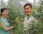 Những người trẻ lội ngược dòng ở miền Tây - Kỳ 5: Bỏ phòng LAB, về vườn làm nông sản sạch