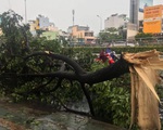 TP.HCM: Mưa lớn nước chảy như lũ trên phố, cây gãy cành đè người đi đường