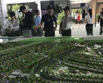 Thành phố trực thuộc trung ương và nhiều địa phương không được phân lô bán nền?