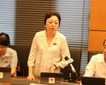 Đại biểu Phạm Khánh Phong Lan: 