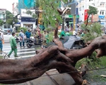 Cần Thơ: 1 người chết do mưa dông, nhiều nhà tốc mái, cây xanh bật gốc