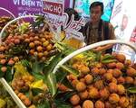 Một tuần tưng bừng trải nghiệm mua vải thiều trên Ví điện tử MoMo