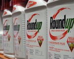Công ty mẹ của Monsanto chi gần 11 tỉ USD giải quyết vụ kiện thuốc diệt cỏ gây ung thư