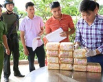 Bị truy đuổi, người ngồi trên ôtô vứt 2 balô chứa 31kg ma túy đá xuống đường